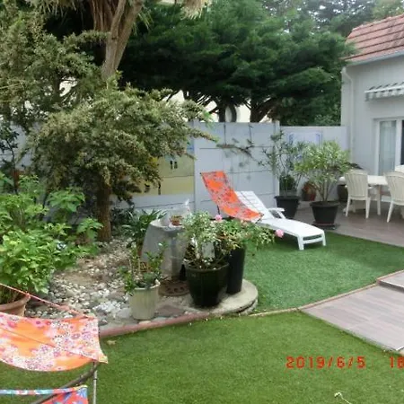 Paquerette * Hauteville-sur-Mer